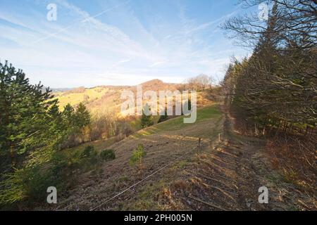 Paysage dans le jura suisse dans le canton de bâle, sur l'une des plus belles randonnées de la région entre le Belchenfund et le Lauchfund. Banque D'Images