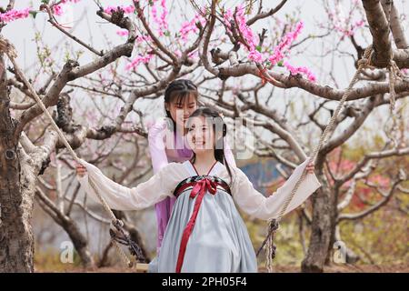 ZAOZHUANG, CHINE - 24 MARS 2023 - les amateurs de Hanfu nagent sous les fleurs le jour d'ouverture du festival Peach Blossom à Zaozhuang, dans la province de Shandong, Banque D'Images