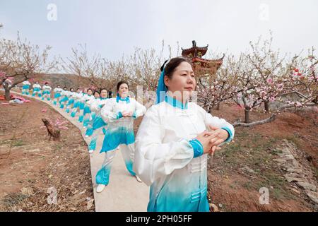 ZAOZHUANG, CHINE - 24 MARS 2023 - les fans de Fitness Qigong se déroulent le jour d'ouverture du Peach Blossom Festival à Zaozhuang, dans la province de Shandong, à Chin Banque D'Images