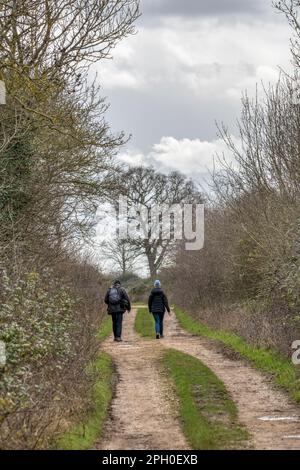 Couple marchant le long d'une route de campagne de Norfolk tôt au printemps. Partie de la promenade circulaire de Snettisham. Banque D'Images