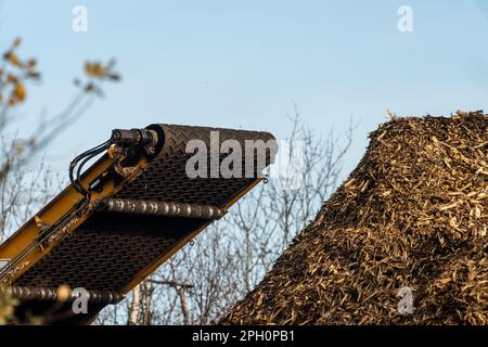 Göteborg, Suède - novembre 10 2022 : copeaux de bois déversés dans une pile par un grand broyeur de bois industriel Banque D'Images