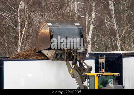 Göteborg, Suède - novembre 21 2022 : une chargeuse sur pneus charge des copeaux de bois sur une remorque Banque D'Images