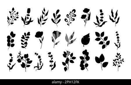 Herbes de printemps, silhouette de feuilles noires, branches de branches de branches. Plantes d'été, eucalyptus, lavande et baies différentes, jennage et olive, fleurs mignonnes, palmier. Illustration vectorielle isolée sur un ensemble blanc Illustration de Vecteur