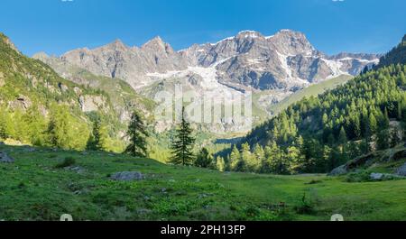 La Punta Gnifetti ou Signalkuppe, Parrotspitze, Ludwigshohe, Piramide Vincent Peaks - vallée de la Valsie. Banque D'Images