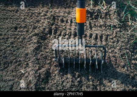 Cultivateur outil manuel efficace pour le travail du sol. Lit de desserrage. Travail saisonnier. Agriculture biologique. Banque D'Images