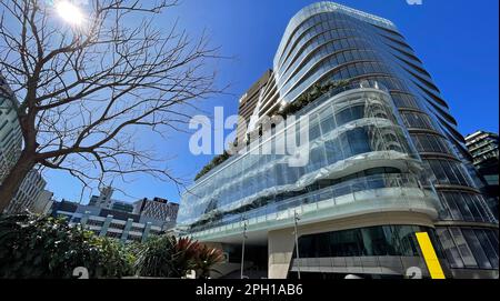 Bâtiment de l'Université de technologie de Sydney (UTS) entouré d'arbres dans un ciel bleu. Banque D'Images