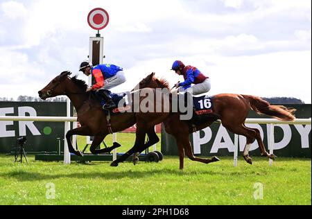 Honey Girl monté par le jockey Dylan Browne McMonagle (à gauche) remporte le Cavalor Equine Nutrition Fillies Maiden à l'hippodrome de Curragh, comté de Kildare. Date de la photo: Samedi 25 mars 2023. Banque D'Images