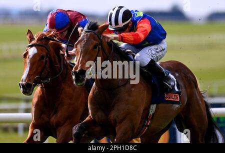 Honey Girl monté par le jockey Dylan Browne McMonagle (à droite) sur le chemin de gagner le Cavalor Equine Nutrition Fillies Maiden à l'hippodrome de Curragh, comté de Kildare. Date de la photo: Samedi 25 mars 2023. Banque D'Images