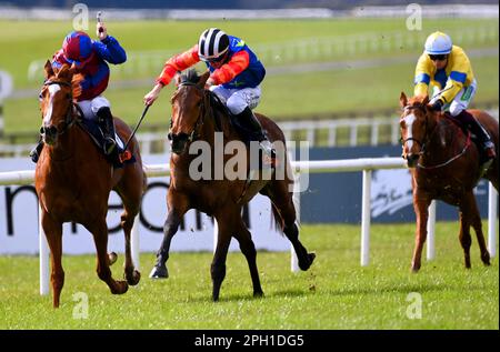 Honey Girl monté par le jockey Dylan Browne McMonagle (deuxième à gauche) sur leur chemin pour gagner le Cavalor Equine Nutrition Fillies Maiden à l'hippodrome de Curragh, comté de Kildare. Date de la photo: Samedi 25 mars 2023. Banque D'Images