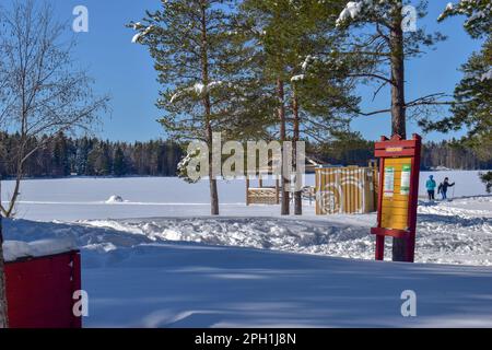 Forêt enneigée par une journée ensoleillée au bord du lac Nydala à Umea. Vasterbotten, Suède. Banque D'Images