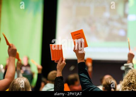 25 mars 2023, Schleswig-Holstein, Neumünster: Les participants à la conférence du parti d'Etat du Parti Vert du Schleswig-Holstein ont des cartes de vote. Les Verts cherchent la deuxième place dans l'État pour les élections locales sur 14 mai 2023. À Neumünster, ils discutent du contenu de divers sujets, de la transition énergétique et de la mobilité aux demandes d'interdiction des pétards. Photo: Frank Molter/dpa Banque D'Images