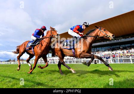 Honey Girl monté par le jockey Dylan Browne McMonagle (à droite) remporte le Cavalor Equine Nutrition Fillies Maiden à l'hippodrome de Curragh, comté de Kildare. Date de la photo: Samedi 25 mars 2023. Banque D'Images