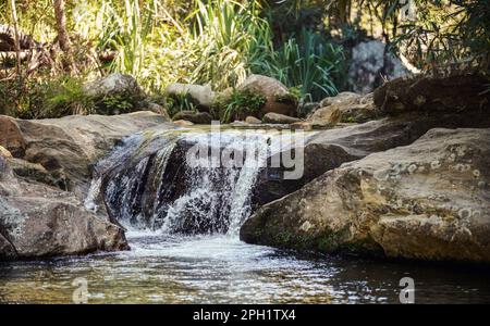 Petite cascade ou cascade de rivière - eau qui coule sur de grandes pierres, fond de jungle ensoleillée, paysage typique de la forêt tropicale d'Isalo à Madagascar Banque D'Images