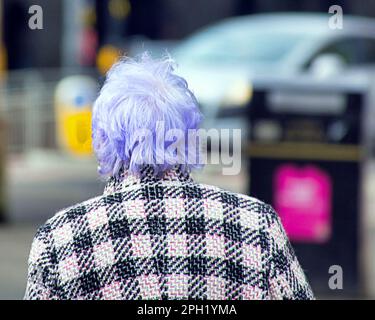 vieille dame avec des cheveux de rinçage bleu de derrière Banque D'Images