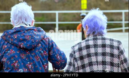 vieille dame avec des cheveux de rinçage bleu de derrière Banque D'Images