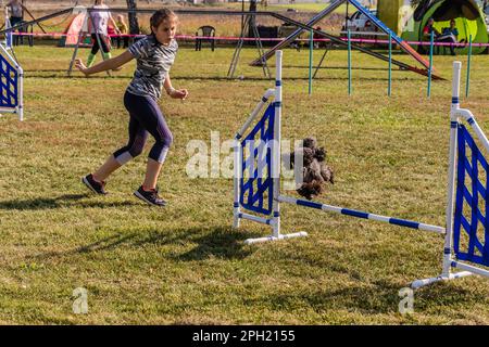 LYSA NAD LABEM, RÉPUBLIQUE TCHÈQUE - 26 SEPTEMBRE 2021 : chien et maître sautant sur une hurdlee lors d'une compétition d'agilité à Lysa nad Labem, République tchèque Banque D'Images