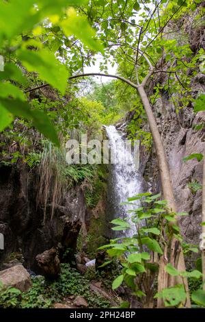 Une scène de nature à couper le souffle d'une cascade qui s'abat au milieu des rochers et des arbres dans une forêt luxuriante et verte Banque D'Images