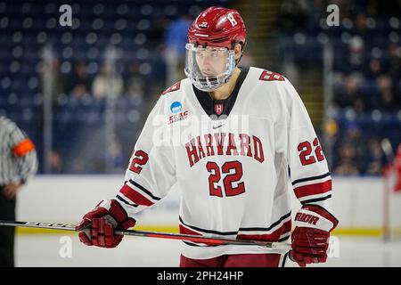 Bridgeport, Connecticut, États-Unis. 24th mars 2023. Ryan Siedem (22), défenseur de Harvard, se met en position lors du tournoi de hockey sur glace NCAA DI Men's Ice Hockey Bridgeport Regionals contre l'État de l'Ohio à la Total Mortgage Arena de Bridgeport, Connecticut. Rusty Jones/Cal Sport Media/Alamy Live News Banque D'Images