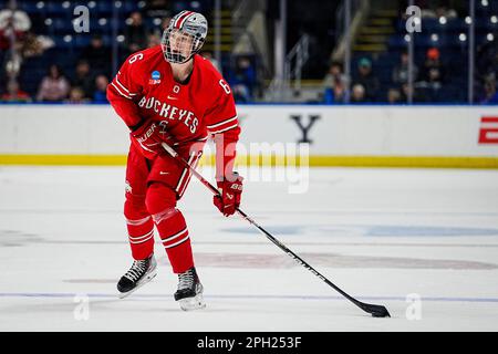 Bridgeport, Connecticut, États-Unis. 24th mars 2023. Mason Lohrei (6), défenseur de l'État de l'Ohio, cherche le col pendant la NCAA DI Men's Ice Hockey Bridgeport Regionals contre Harvard à Total Mortgage Arena à Bridgeport, Connecticut. Rusty Jones/Cal Sport Media/Alamy Live News Banque D'Images