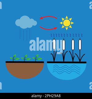 Représentation schématique vectorielle du processus d'évaporation de l'eau dans la nature Illustration de Vecteur