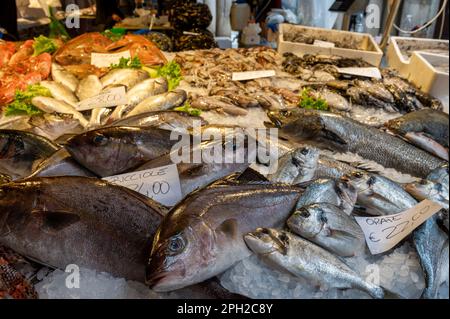 Venise, Italie - 25 février 2023 : poisson frais exposé au marché aux poissons du Rialto à Venise, Italie. Banque D'Images