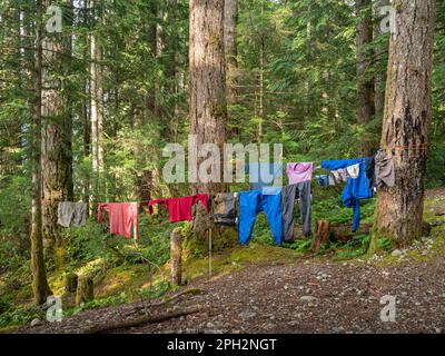 BC00727-00...COLOMBIE-BRITANNIQUE - tentative de sécher des vêtements mouillés au parc régional de lois Lake après plusieurs jours de pluie sur le sentier Sunshine Coast. Banque D'Images