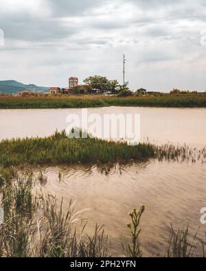 Parc national des zones humides importantes Delta Evros en Thrace Grèce près de Feres et Alexandroupolis Banque D'Images