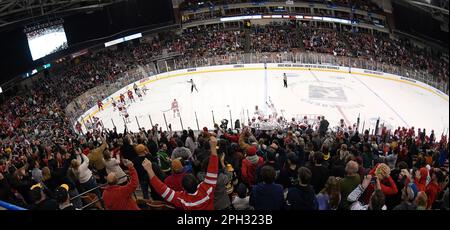 Manchester, New Hampshire, États-Unis. 25th mars 2023. Les fans réagissent alors que les Boston University Eagles se précipitent sur la glace après avoir battu le Cornell Big Red aux NCAA DI Men Ice Hockey Manchester Regionals à Manchester, New Hampshire. Eric Canha/CSM/Alamy Live News Banque D'Images