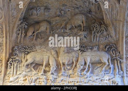 Un relief-sculpture représentant des moutons (élevage normand traditionnel) sur le mur de l'arche sous le gros-horloge de Rouen (Seine-Maritime), France Banque D'Images