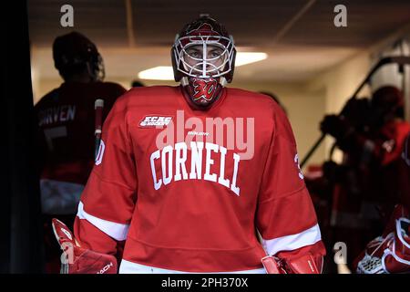 Manchester, New Hampshire, États-Unis. 25th mars 2023. Le gardien de but de Cornell Ian Shane (30) attend de prendre la glace pour des échauffements à la NCAA DI Men Ice Hockey Manchester Regionals contre les Boston University Eagles à Manchester, New Hampshire. Eric Canha/CSM/Alamy Live News Banque D'Images