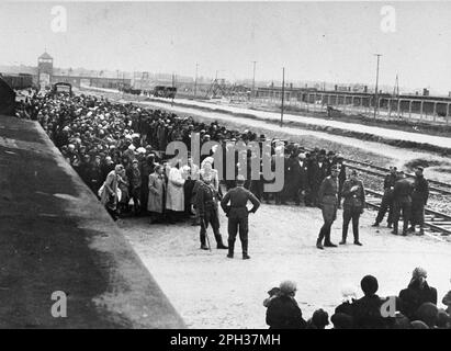 Des Juifs de Rus subcarpathe, alors partie de la Hongrie, attendent la sélection sur la rampe d'Auschwitz II-Birkenau. La sélection consistait à être sélectionné immédiatement pour la mort dans les chambres à gaz ou à être envoyé comme ouvrier esclave forcé. Banque D'Images