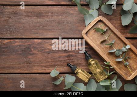 Bouteilles d'huile essentielle d'eucalyptus et branches de plantes sur table en bois, à plat. Espace pour le texte Banque D'Images