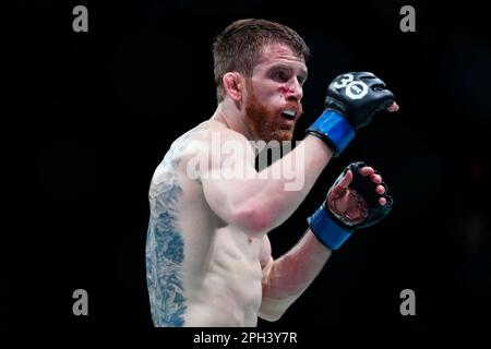 SAN ANTONIO, TEXAS - 25 MARS : Cory Sandhagen dans son combat de poids-de-bantamweight lors de la soirée de combat de l'UFC au AT&T Centre sur 25 mars 2023 à San Antonio, Texas, États-Unis. (Photo de Louis Grasse/PxImages) Banque D'Images