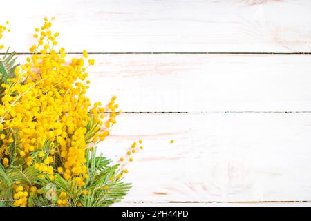 Bouquet de fleurs Mimosa sur fond de bois blanc rustique. Décoration chic et élégante avec fleurs. Mise au point sélective. Espace pour le texte Banque D'Images