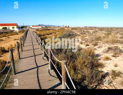 Marche à travers la merveilleuse île de Culatra près d'Olhao Portugal Banque D'Images