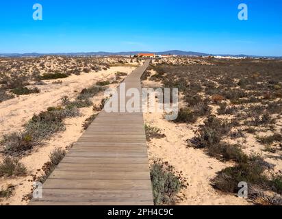 Marche à travers la merveilleuse île de Culatra près d'Olhao Portugal Banque D'Images