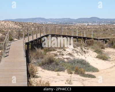 Marche à travers la merveilleuse île de Culatra près d'Olhao Portugal Banque D'Images