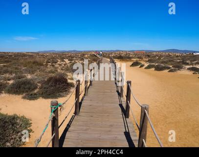 Marche à travers la merveilleuse île de Culatra près d'Olhao Portugal Banque D'Images