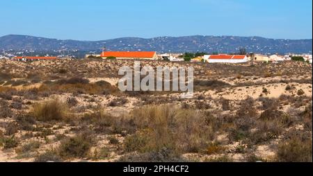 Marche à travers la merveilleuse île de Culatra près d'Olhao Portugal Banque D'Images