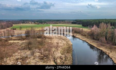 Rivière Widawka le jour du printemps, Pologne. Banque D'Images