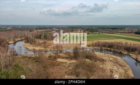 Rivière Widawka le jour du printemps, Pologne. Banque D'Images