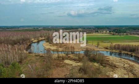 Rivière Widawka le jour du printemps, Pologne. Banque D'Images