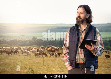 Un agriculteur avec un ordinateur de tablette inspecte les vaches dans le pâturage. Concept de gestion du troupeau. Photo de haute qualité Banque D'Images