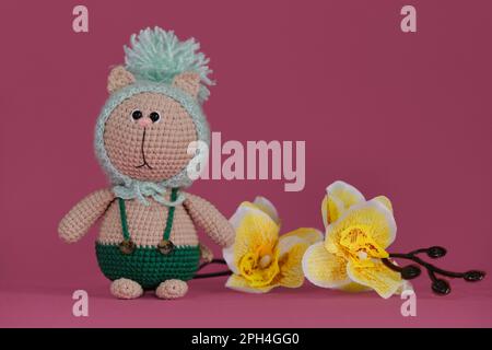 Poupée chaton Amigurumi sur fond rose à côté des fleurs d'orchidées jaunes. Un jouet de bricolage doux en coton. Un chat brun portant une combinaison verte et drôle Banque D'Images