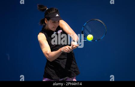 Xinyu Wang de Chine lors du deuxième tour de l'Open de Miami 2023, tournoi de tennis WTA 1000 sur 24 mars 2023 à Miami, Etats-Unis - photo: Rob Prange/DPPI/LiveMedia Banque D'Images