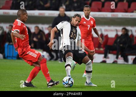 Mayence, Allemagne. 25th mars 2023. Serge GNABBRY (GER) sur le ballon, l'action, duels soccer Laenderspiel Allemagne (GER) - Pérou 2-0, on 25 mars 2023, MEWA Arena Mayence? Credit: dpa/Alay Live News Banque D'Images