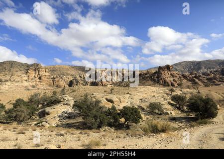 Le paysage de la vallée de Shkaret Mseid, Wadi Musa, centre-sud de la Jordanie, Moyen-Orient Banque D'Images