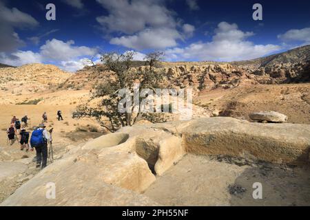 Une ancienne presse nabatéenne à vin dans la vallée de Shkaret Mseid, Wadi Musa, au centre-sud de la Jordanie, au Moyen-Orient Banque D'Images