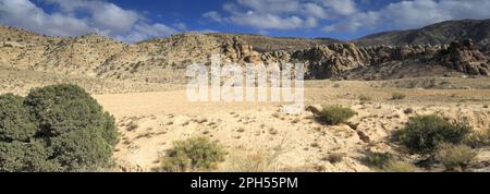 Le paysage de la vallée de Shkaret Mseid, Wadi Musa, centre-sud de la Jordanie, Moyen-Orient Banque D'Images