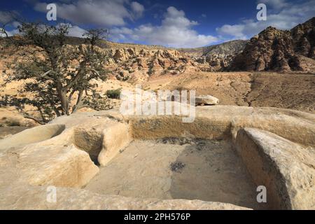 Une ancienne presse nabatéenne à vin dans la vallée de Shkaret Mseid, Wadi Musa, au centre-sud de la Jordanie, au Moyen-Orient Banque D'Images